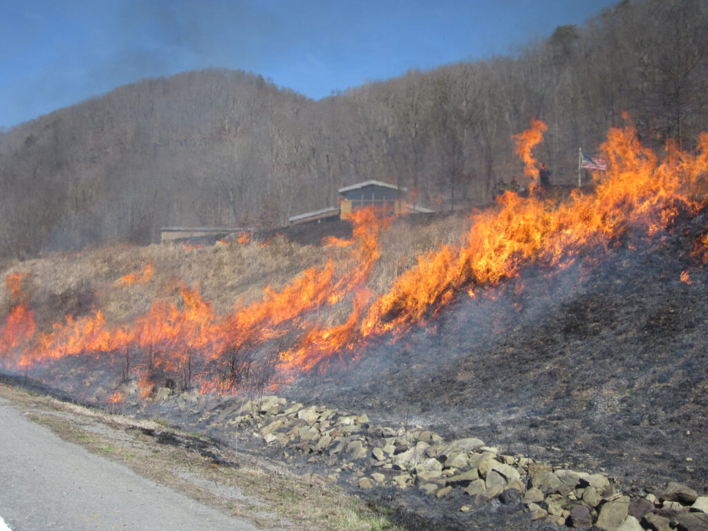 Flames roll off of a grassy embankment on the side of a road. In the background can be seen a structure.
