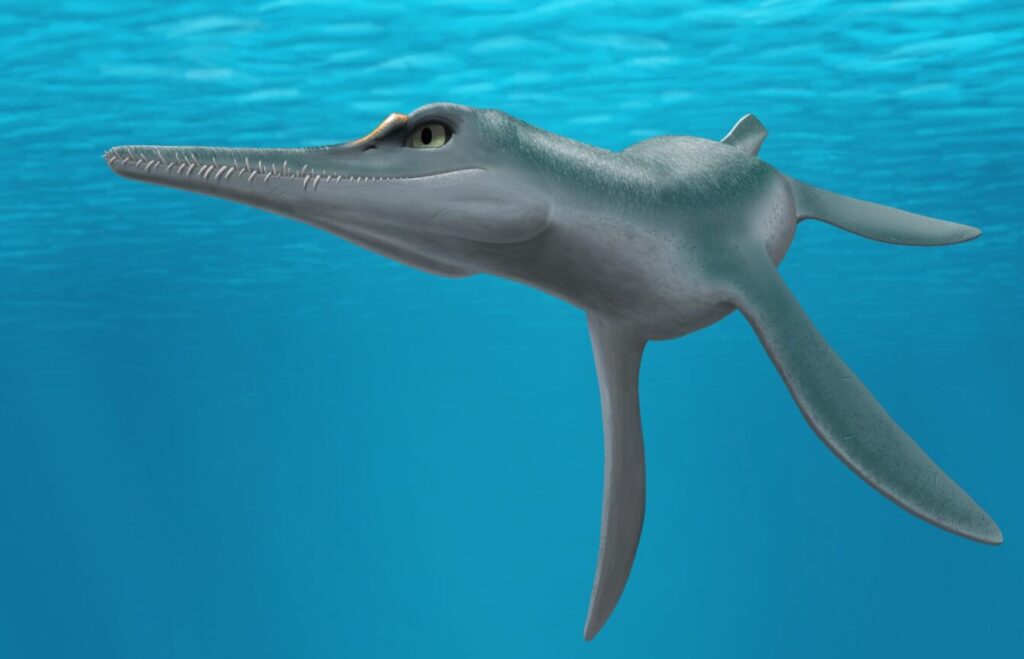 artist rendering of a sea creature with long fins.