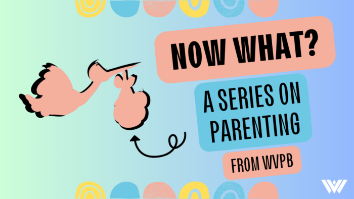 A light blue background with text that reads, "Now What? A Series On Parenting, From WVPB." On the blue background is a silhouette of a pink stork holding a baby in a bundle. There are also artistic half circles on the top and bottom of the graphic that are yellow, blue and pink.