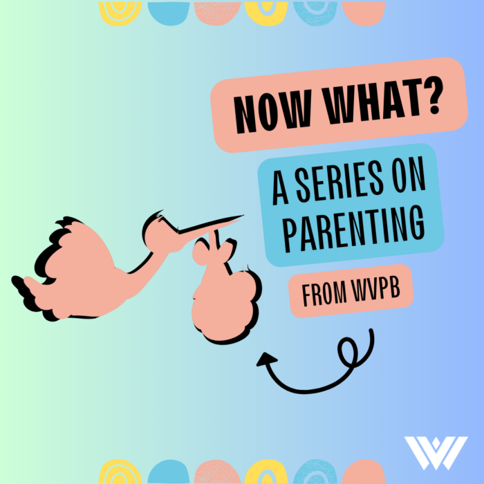 A light blue background with text that reads, "Now What? A Series On Parenting, From WVPB." On the blue background is a silhouette of a pink stork holding a baby in a bundle. There are also artistic half circles on the top and bottom of the graphic that are yellow, blue and pink.