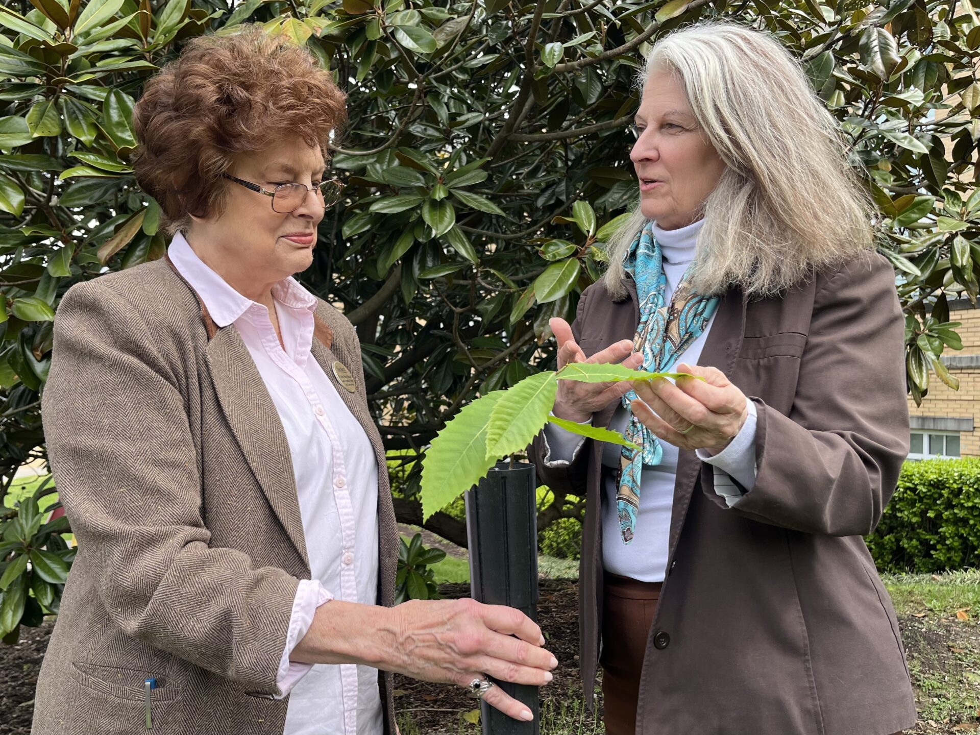 Two women stand together, examining the leaves of a tree sapling in a black, plastic tube, The women on the left is holding the sapling in its tube, while the woman on the right is pointing at its leaves and speaking.