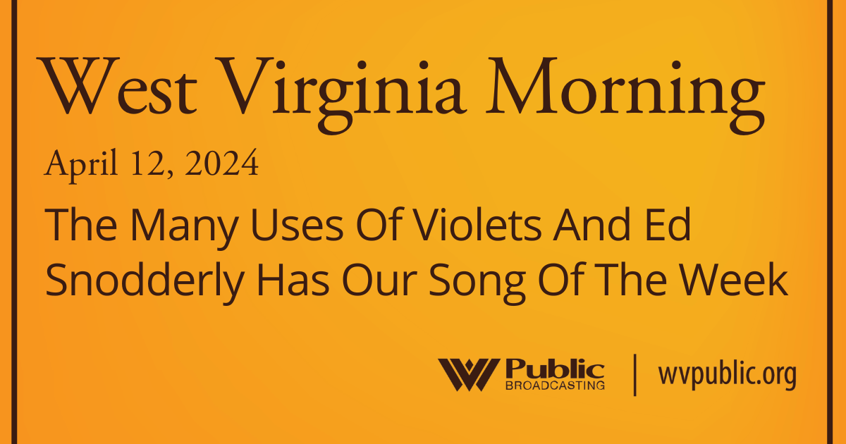 The Many Uses Of Violets And Ed Snodderly Has Our Song Of The Week, This West Virginia Morning