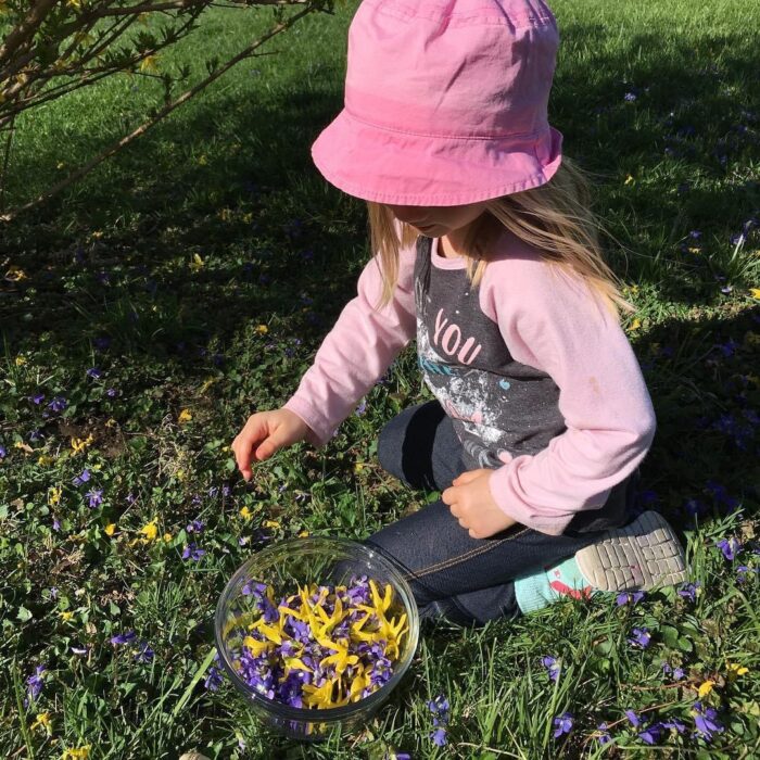 A little girl with blonde hair, wearing a pink hat, pink long sleeved shirt, jeans, and boots, kneels in the grass and picks violets. Next to her is a glass bowl where she drops petals.