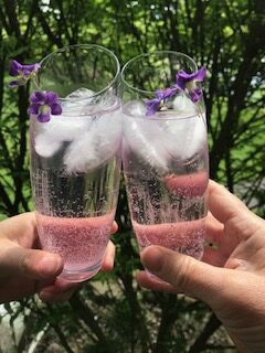 Two clear glasses being clinked together by two hands. Inside is clear liquid and ice cubes. On top of the ice are violet petals.