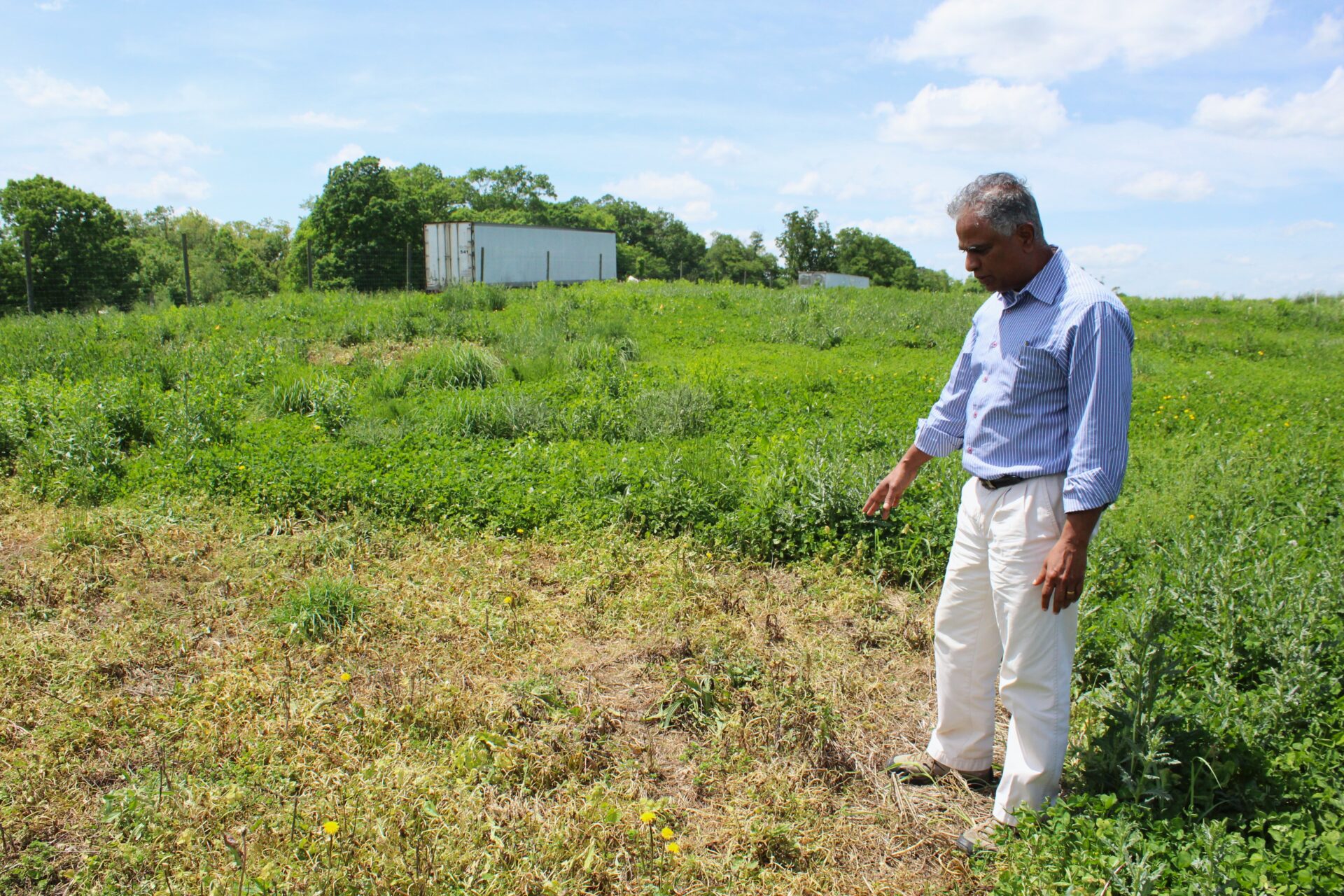 A man stands at right of frame wearing a light blue shirt with stripes and white pants. He gestures towards a patch of field that is brown, almost burned-looking compared to the lush green field that dominates the rest of the frame. In the background, in front of a tree line, two trailers can be seen at the edge of the field.