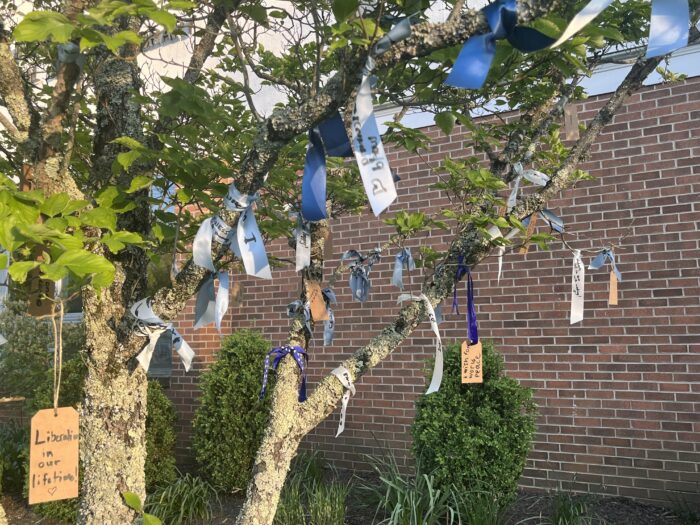 Ribbons and messages decorate a tree in front of a library.