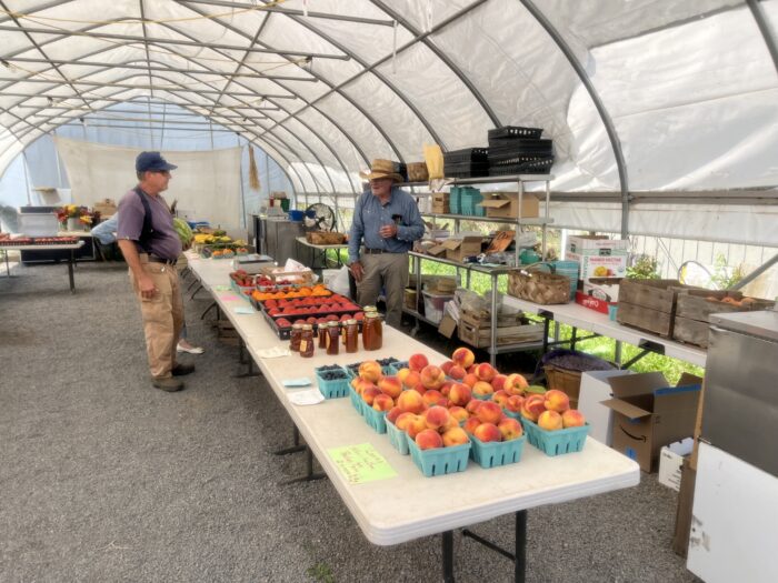 Small, green baskets filled with fruits and vegetables line a pop-up table under a small "high tunnel," which looks something like a cross between a tent and a greenhouse.