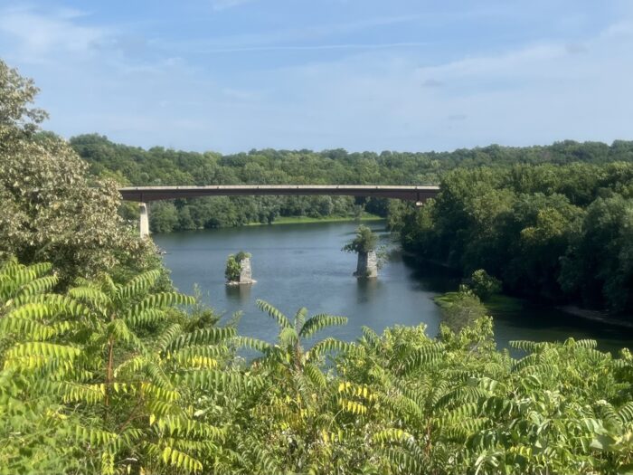 A bridge over a river is visible in the distance over lush green plants in the foreground. The sky is blue overhead.