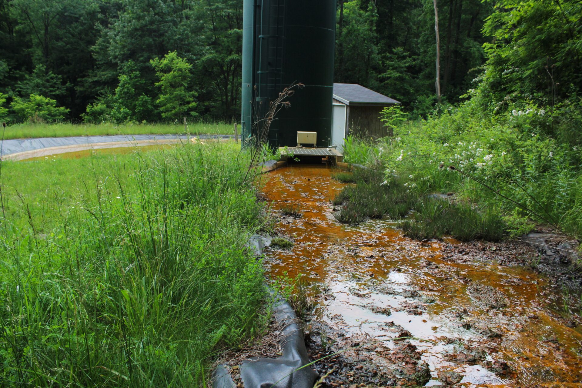 A tuft of grass grows next to a small, shallow waterway that is tinged a deep orange. The water flows towards a green tower, with a small shed partially visible behind it. The background is dominated by a full, verdant tree line. Between the tower and the tree line can be seen a small pond.