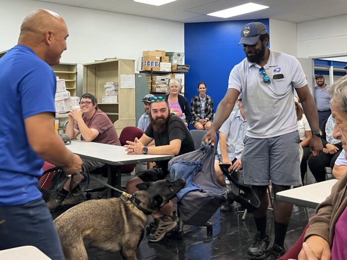 A man in a mail carrier uniform holds a mail carrier duffel bag toward a dog, which is biting it and pulling away. The dog is held on a leash by a man behind him in a blue shirt.