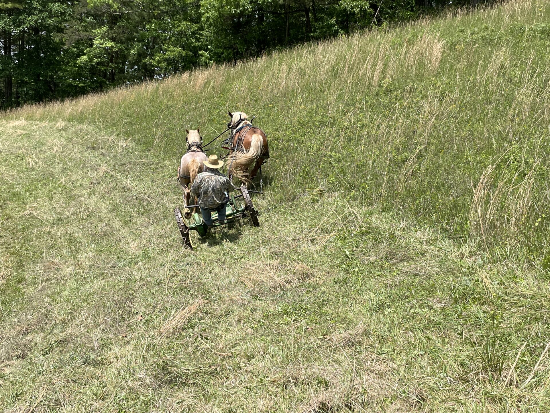 Reviving Horse-Powered Farming For A New Generation