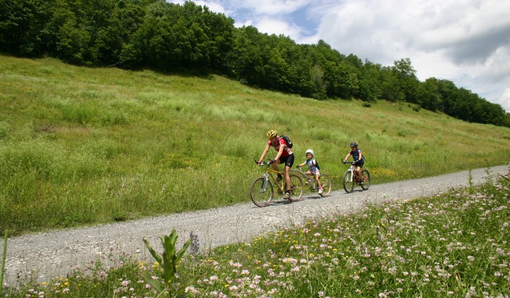 A man and two children bike along a gravel path. The path runs alongside a hill with trees on top. On the other side wildflowers grow.