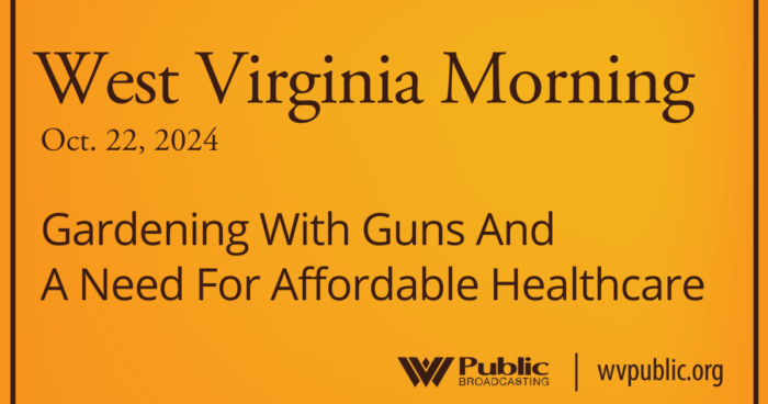 Addressing Gun Violence and Healthcare Needs in West Virginia