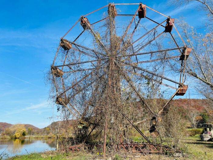 A rusty old Ferris wheel sits covered in vines. 