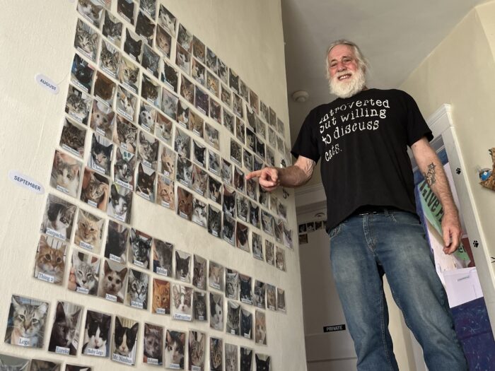 A man with a beard and a black t-shirt stands at the top of a staircase and points to a wall of photographs of cats.