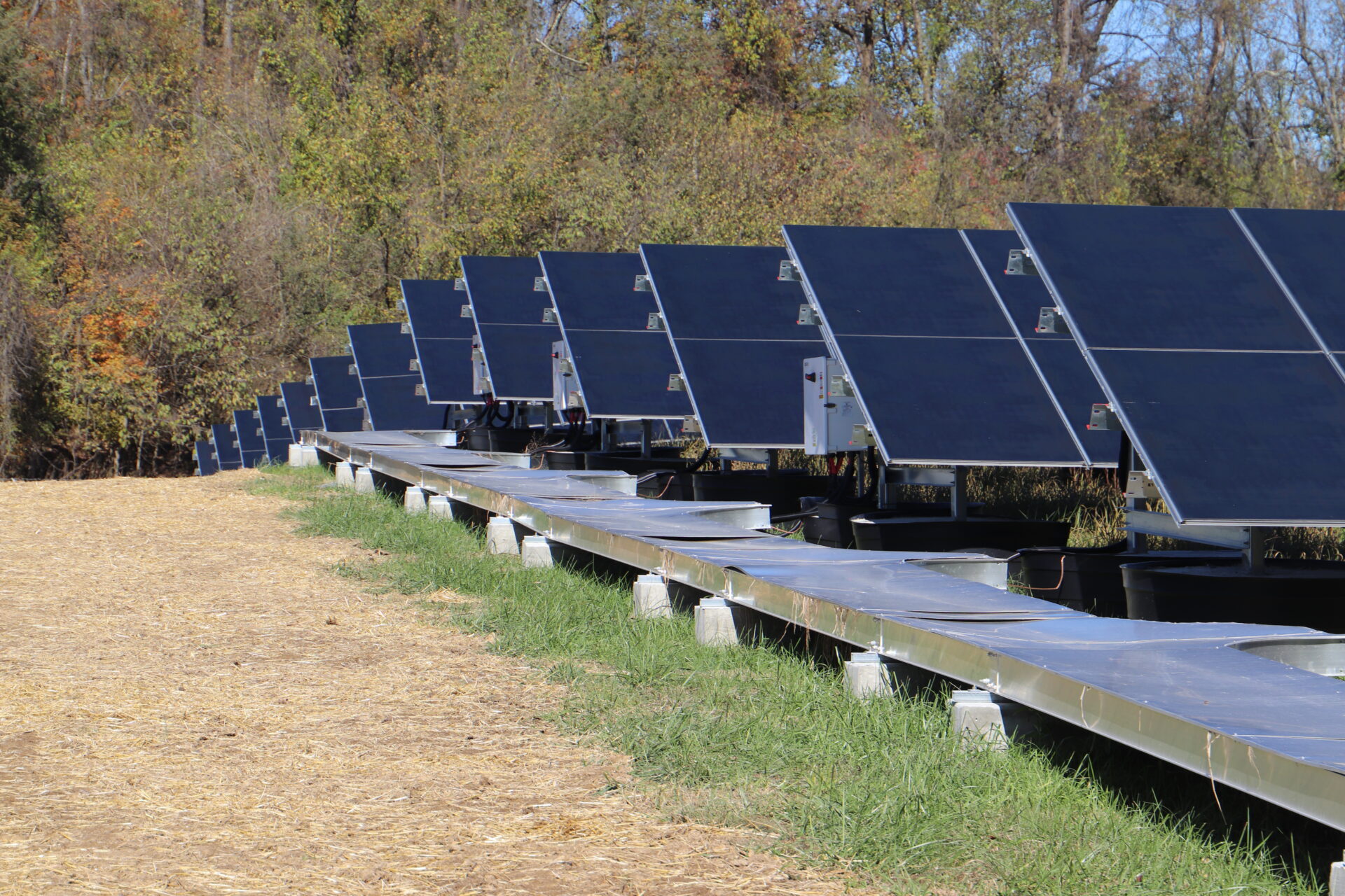 Solar panels tilt toward the sun on a clear day.