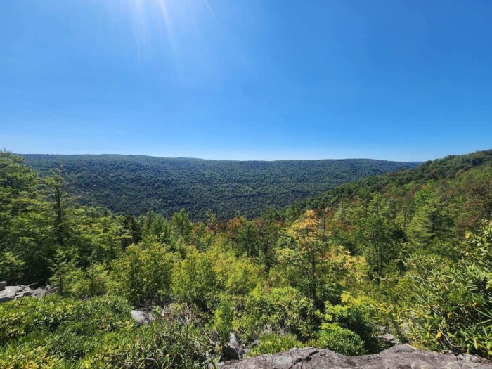 Viewed from an overlook, trees bearing lush green leaves extend across a canyon. The sky is blue overhead.