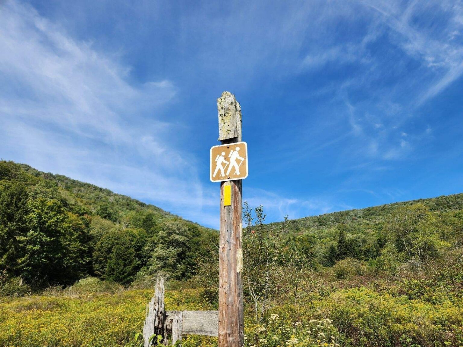 With Appalachian Trail Closures, Allegheny Trail New Hikers