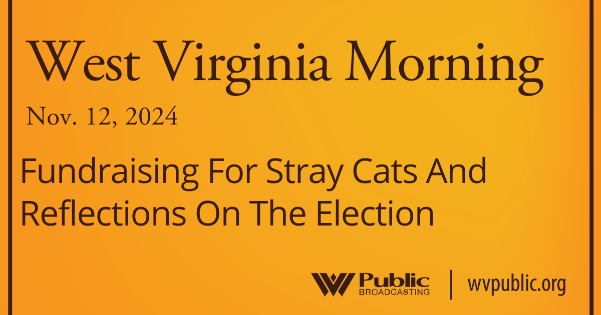 Fundraising For Stray Cats And Reflections On The Election, This West Virginia Morning