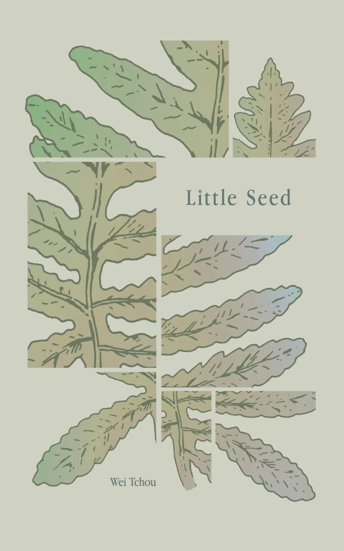 Book cover displaying drawings of separated fern leaves.