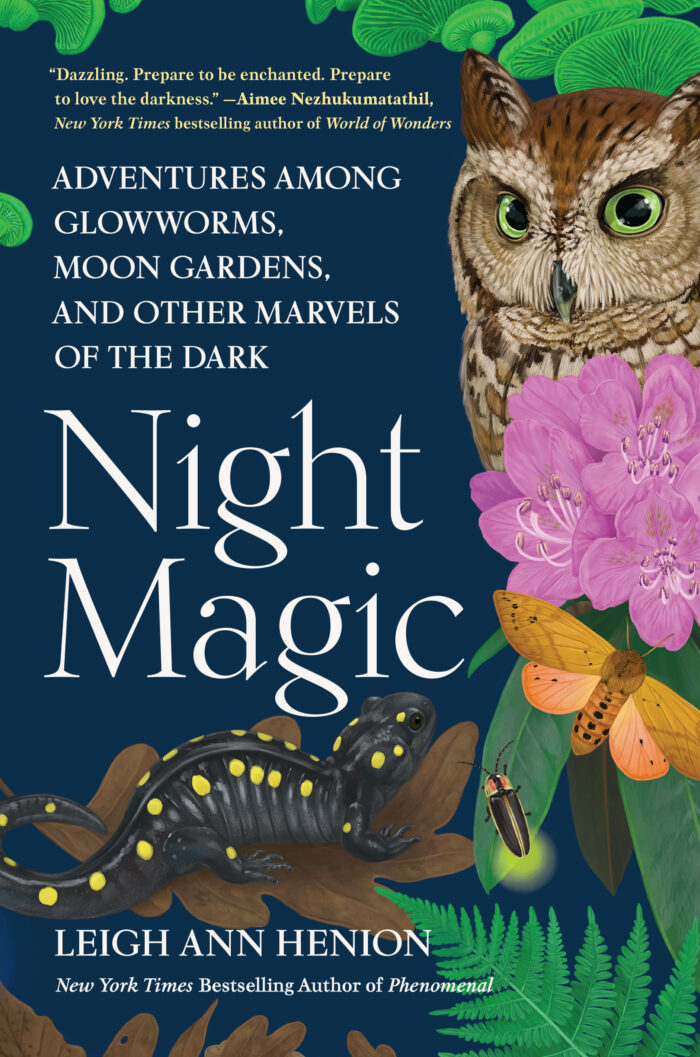 Book cover for "Night Magic." It features an owl, salamander and several insects.