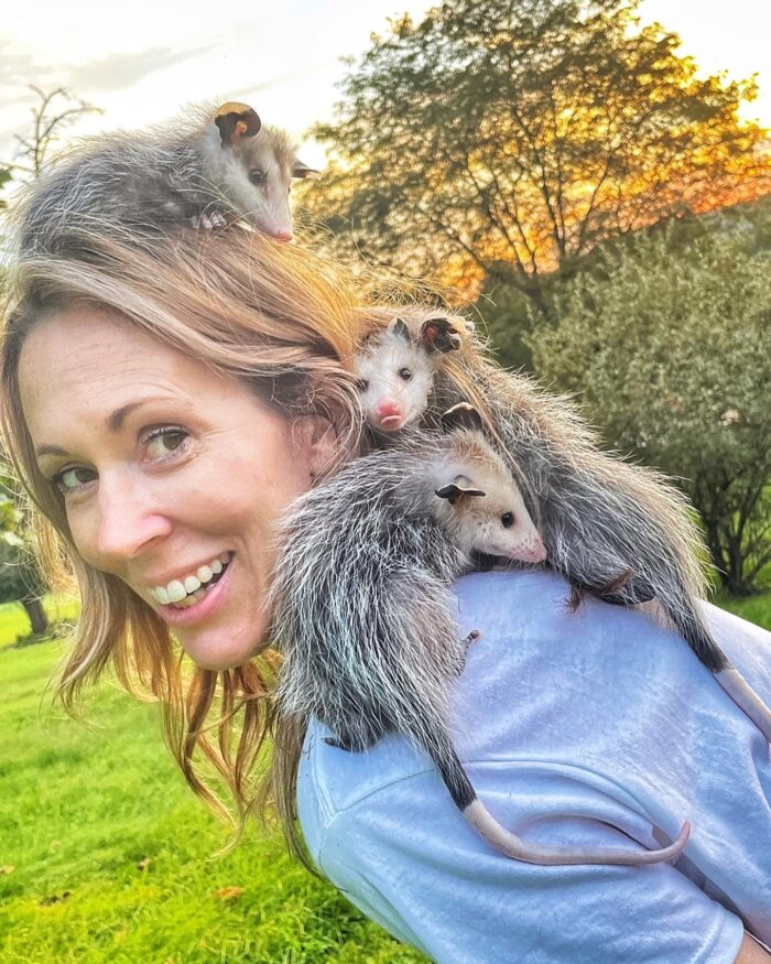 A blonde woman in a blue shirt smiles as three young possums crawl on her head.