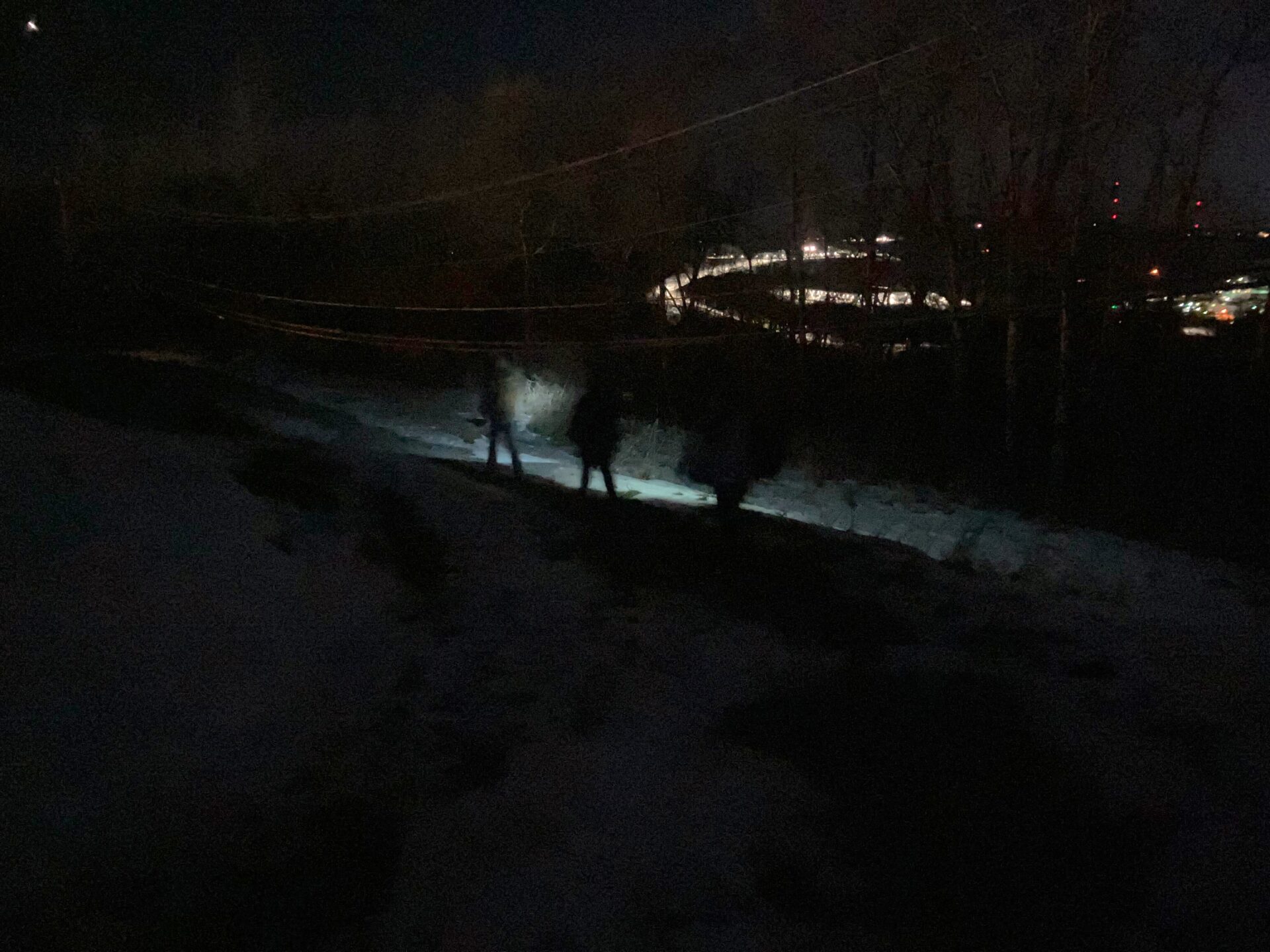 The silhouettes of three figures can be seen in a dark frame. Flashlight illuminates the snowy landscape. In the background, the orange-red glow of streetlights highlights the bend of a river through a sparse treeline.