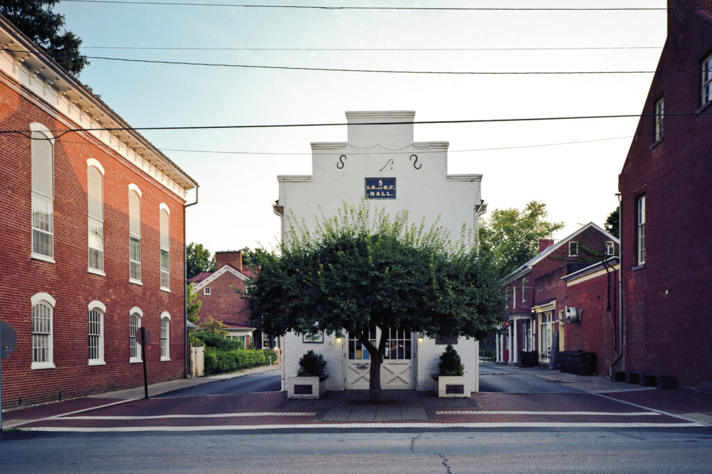 A white brick building is center with a small tree growing in front of it. The sky is clear above. On either side of the building are red brick buildings.