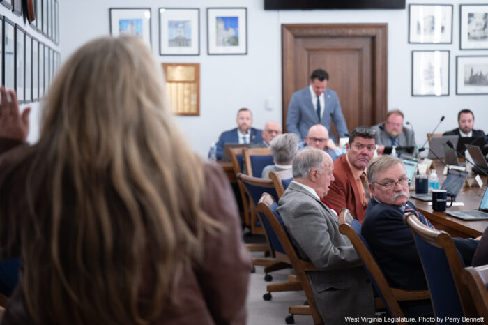 The back of a womans head blurrs in the forefront of the picture. In front of here men in suits look her direction.