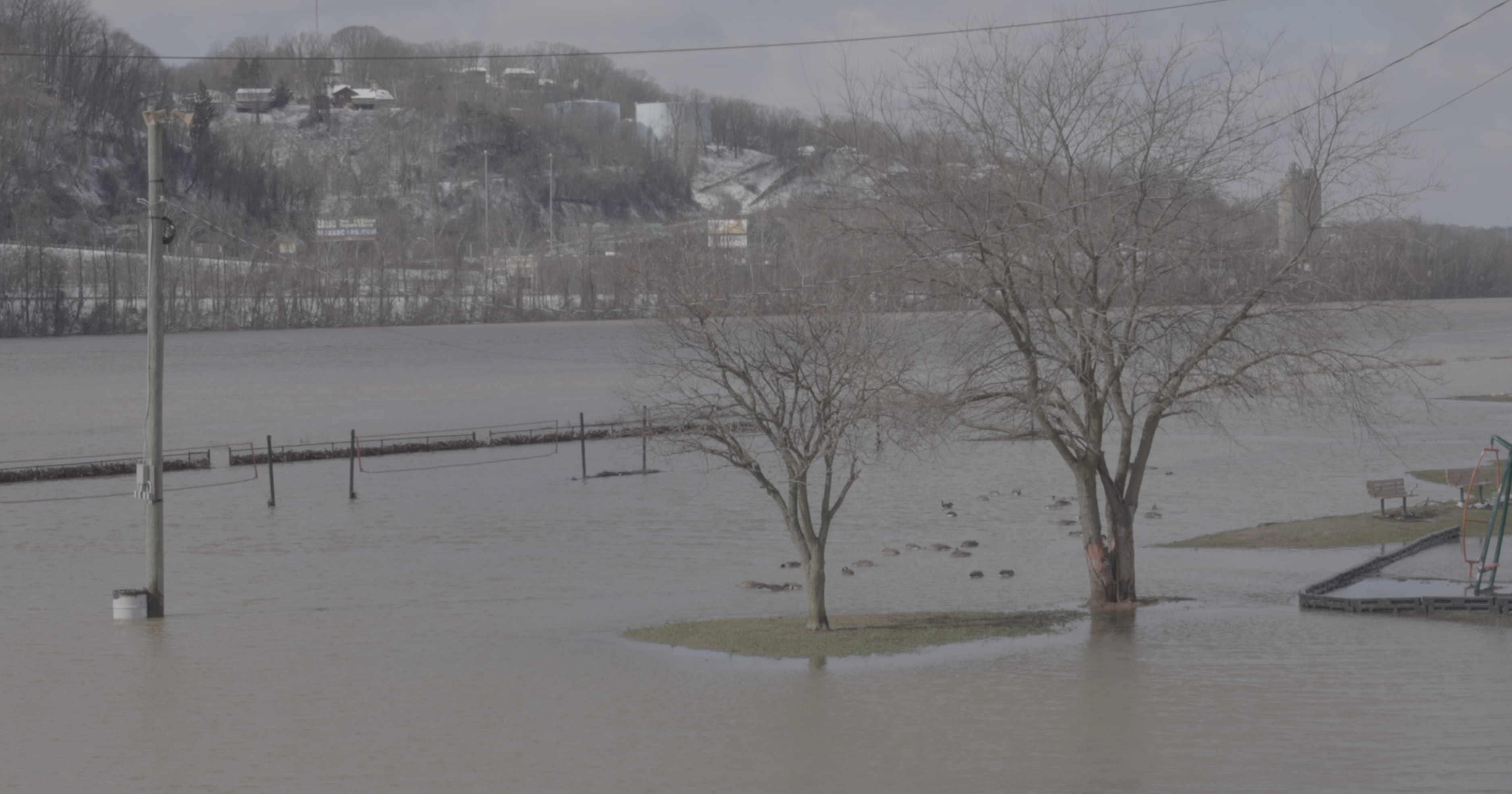 A flooded riverbank.