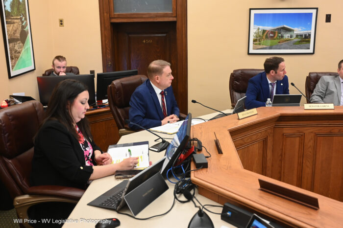 A brunette woman wearing a black blazer and pink shirt sorts through papers at the front of a committee room. Two men in suits sit to her left, also listening to the meeting.