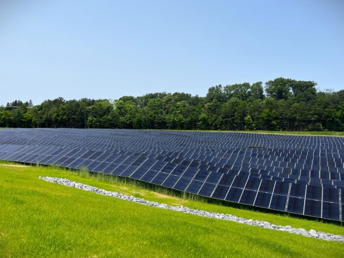 Rows of solar panels line a grassy hill.