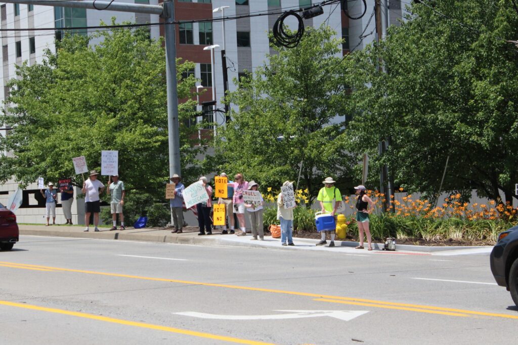 A wide shot shows about a dozen people standing on the side of a sunlit road holding handmade signs. The people are small against the wide road and midrise buildings behind them.