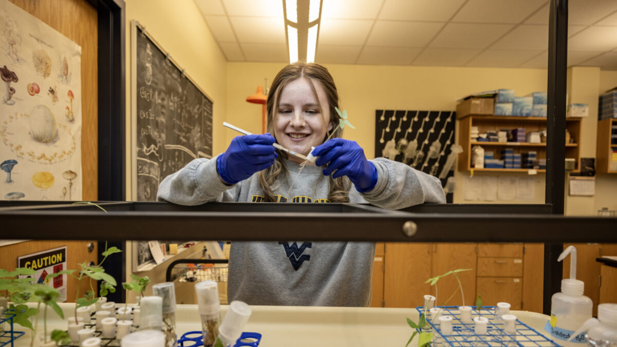 WVU Researcher Discovers Potential Mental Health Treatment Through Psychedelic Fungi