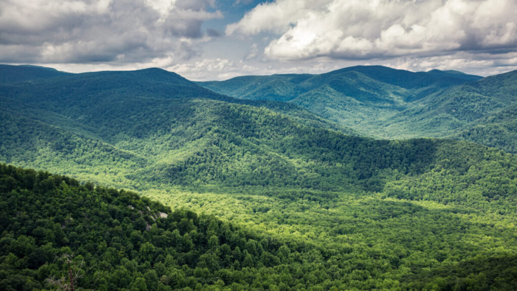 A landscape view of the Allegheny mountains. The mountains are covered in green trees. There are gray clouds hovering over the mountains.