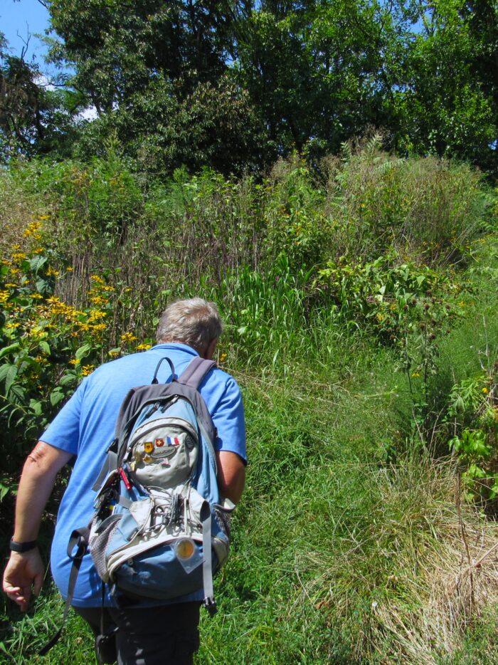 A man in a blue polo shirt holds a backpack and traverses up an overgrown hill.