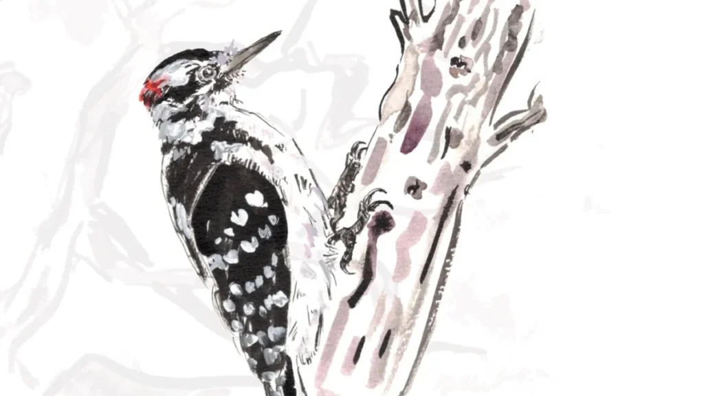 An illustration of a bird on a branch.