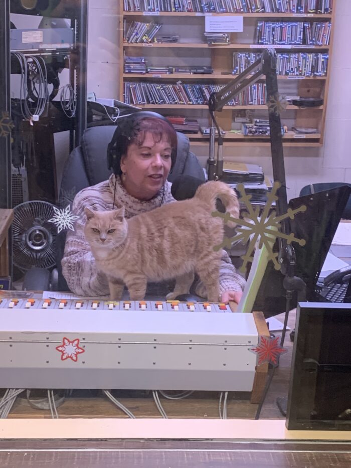 A woman sitting at a recording station talking into a microphone. There is a cat standing in front of her. 