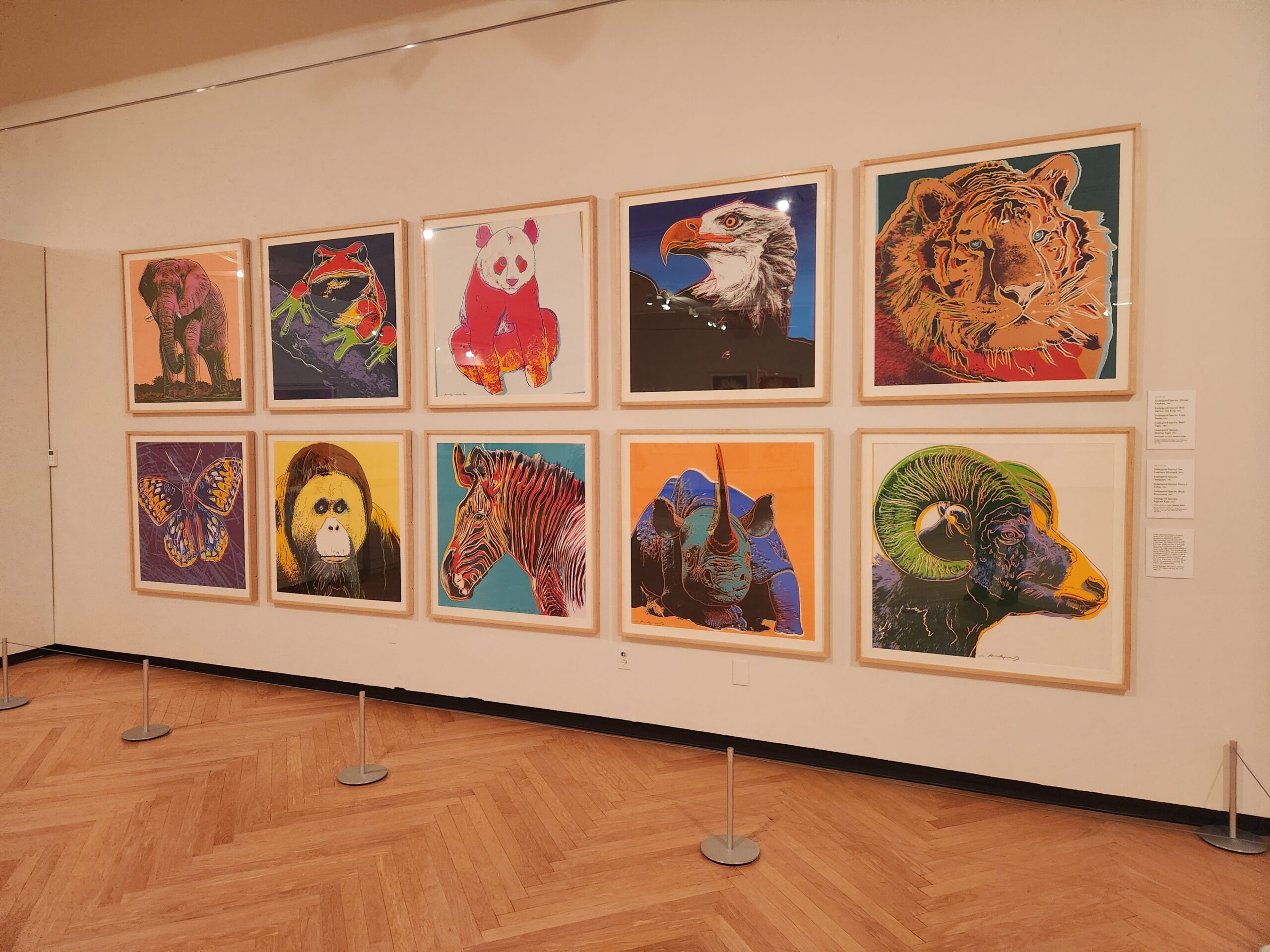 1001-Warhol_Douglas-scaled.jpg