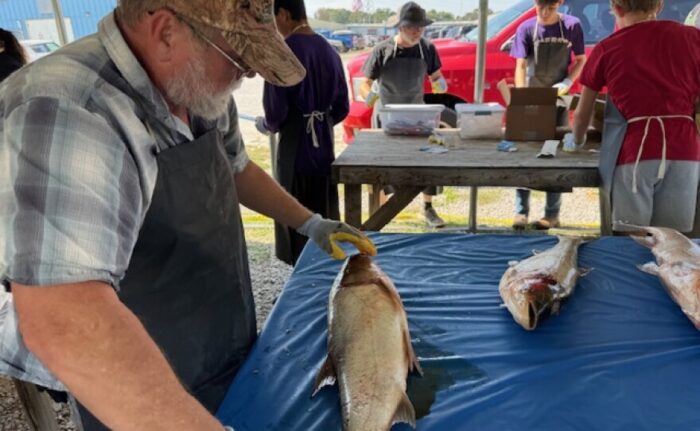 A white man cutting open a fish on a blue table. There are other people observing him.