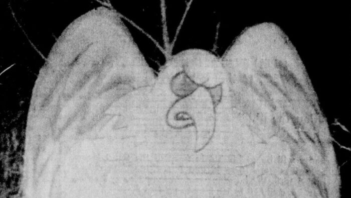 Mothman, Bridge Day And Washboards, Inside Appalachia