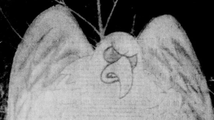 Mothman, Bridge Day And Washboards, Inside Appalachia