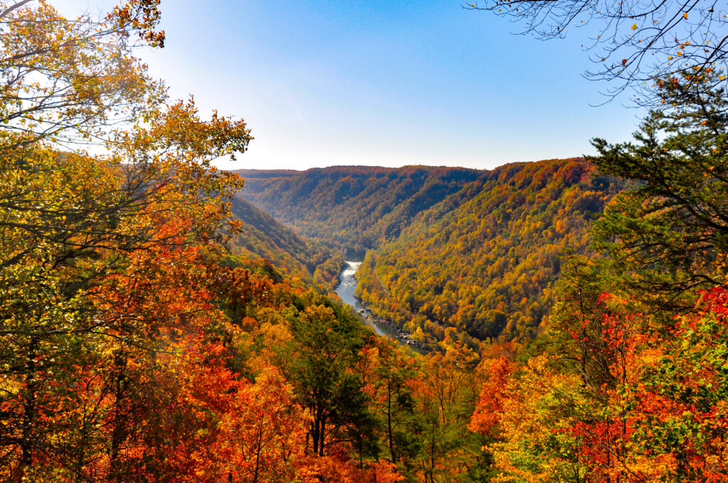 Under blue skies, mountains covered in colorful fall leaves overlook a valley with a river below.