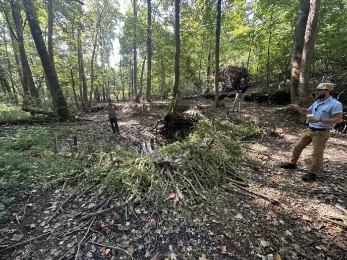 Three men standing around a beaver dam in the woods. 