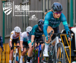 An image of four professional cyclists in a competition.