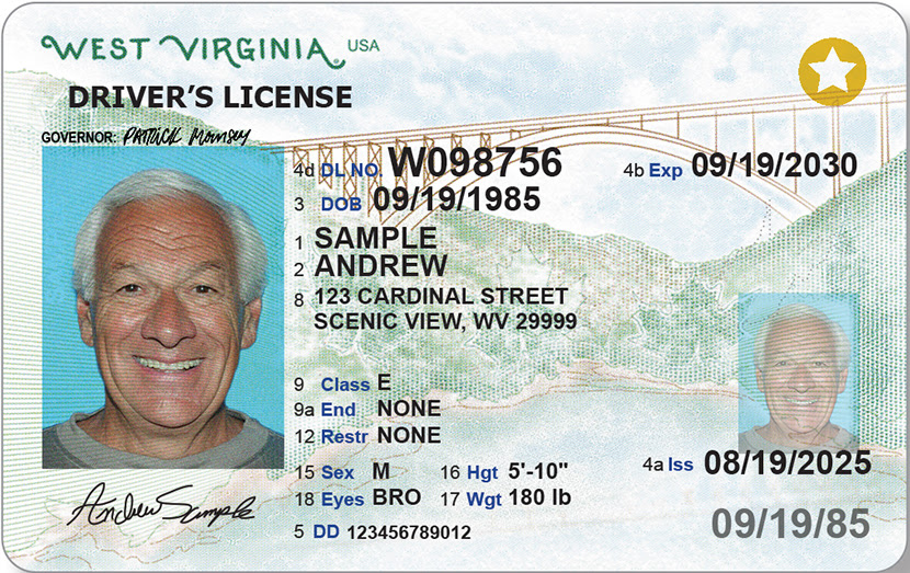 A fake drivers license showing a gold star in the corner