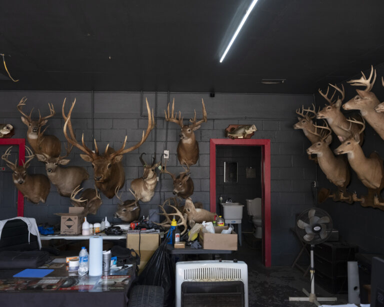 Inside a shop with several hunting trophies on the wall.