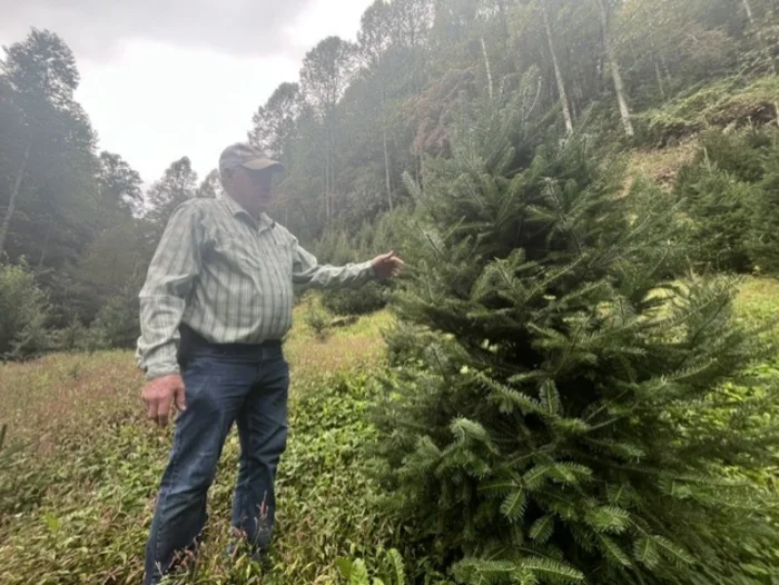 A man standing next to a pine tree. 