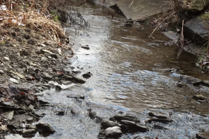 A stream. There are rocks on the left side of the bank. 