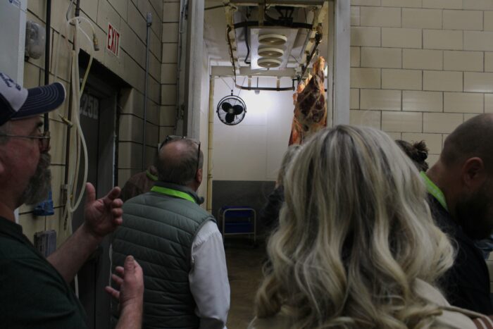 A floor to ceiling door in a yellow tiled wall opens up on several sides of beef hanging from a rail system suspended on the ceiling. A refrigeration system can be seen in the middle of the rails. In the foreground a group faces away from the camera looking towards the sides of beef. A man fore left gestures with both hands towards the beef.